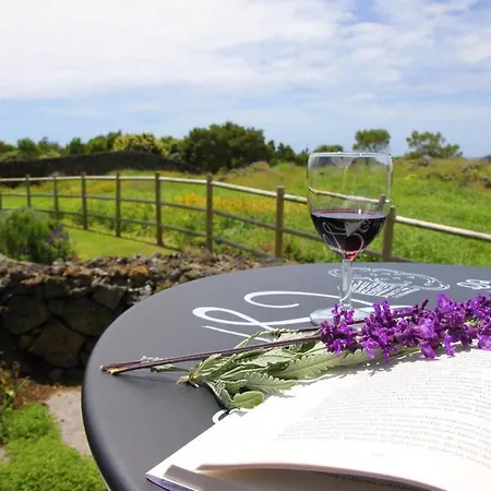 Azores Country Nature